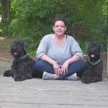 von den Geo Giganten cover