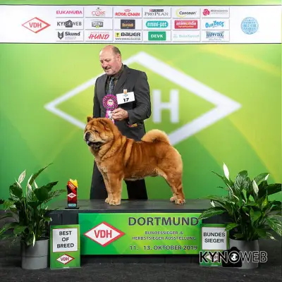 Hary-Ming cover