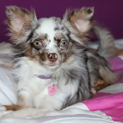 Zoey