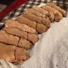 Colour of my Life cover