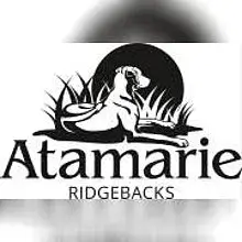 Atamarie cover