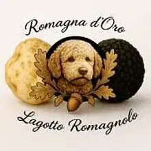 Romagna d'Oro cover