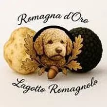 Romagna d'Oro cover