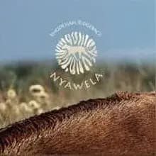 Nyawela cover