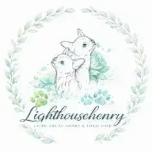 Lighthouse Henry cover