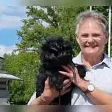 vom Dreieckshof cover