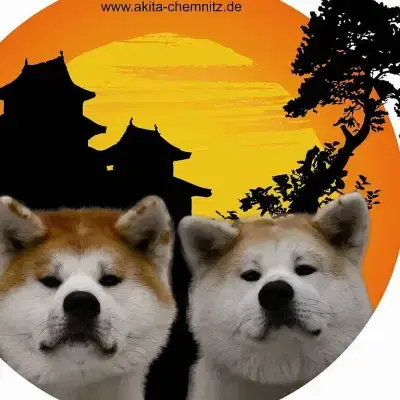 of Shukeiyen Kensha cover