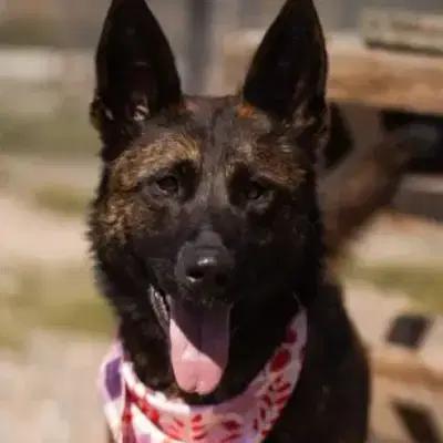 Ciska