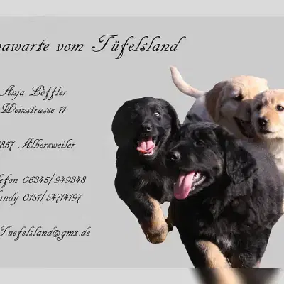 vom Tüfelsland cover