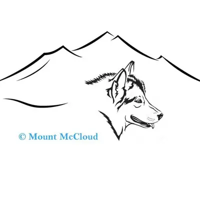 Hati Kiyaya – Alaskan Malamute Welpe, Niedersachsen, Opdrættet af Mount McCloud 