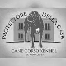 Protettore della casa cover