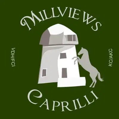 Millviews, Hobbyzucht im VDH cover