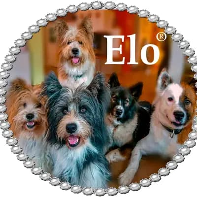 Elo® von Werths Echte 