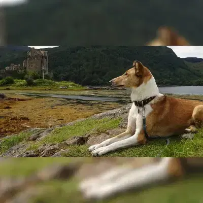 Spirit von Gut Breide cover