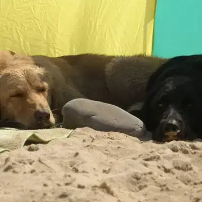 vom Siebenteufelsturm cover