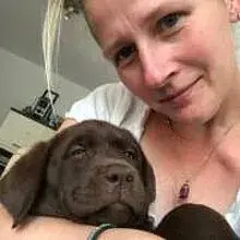 Gallentiner Labrador cover