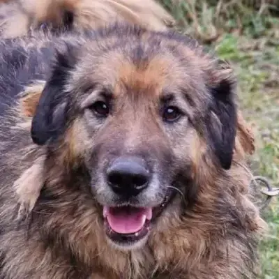 Bruce