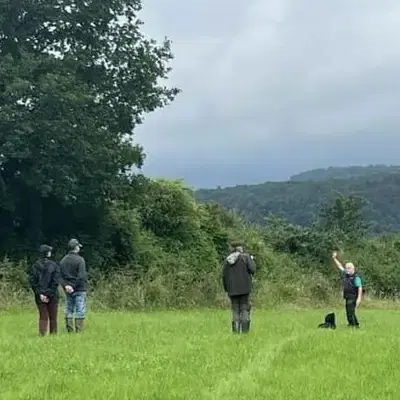Wasca vom Weiltal - Rottweiler Welpe in Hessen