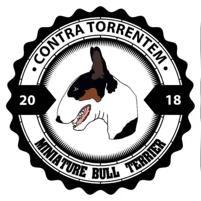 Contra Torrentem cover