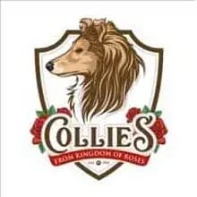 Collies from Kingdom of Roses cover