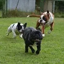 von der Elchtränke cover