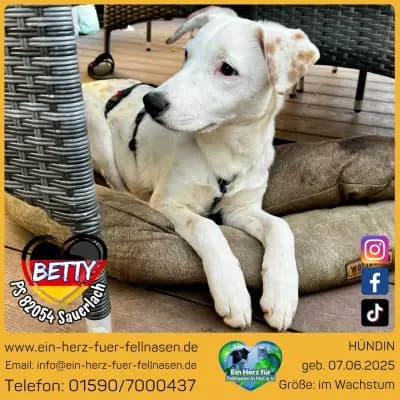 Betty
