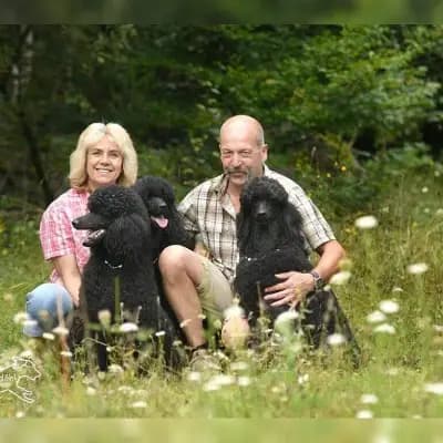 Beaux chiens de Coste cover