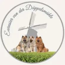 von der Düppelsmühle cover