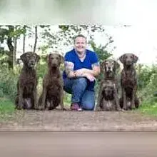 Braveheart Worker cover