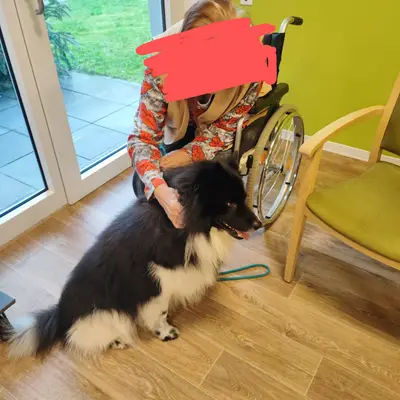 Foto von Flipper, einem Mischlingshunde-Elternhund in Baden-Württemberg.