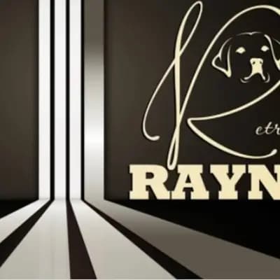 Golden Retriever Showlinie mit Papieren – Golden Retriever Welpe, Bayern, تمت تربيته بواسطة Golden Retriever und Labrador Retriever Zucht seit 1996.
