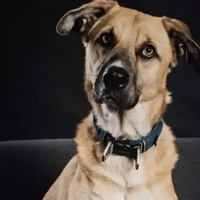 Max