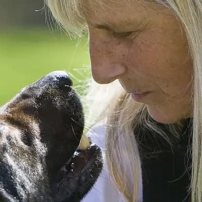 Zuchtstätte für Deutsche Schäferhunde "vom Tatzelwurm"