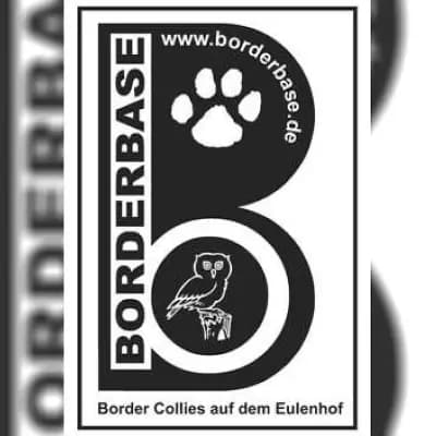 Borderbase cover
