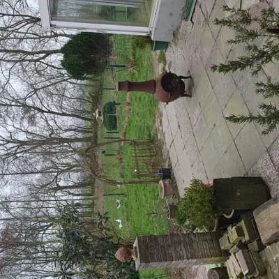 Bild aus Rotellini's  in Niedersachsen, wo unsere Mops-Hunde in einer liebevollen Umgebung aufwachsen.