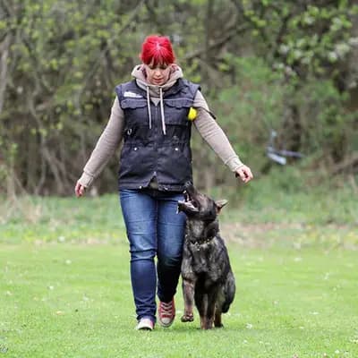 Deutsche Schäferhunde von der Gewürzwiese