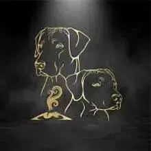 vom Vogelsberg Vulkan cover