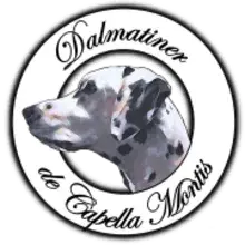 de Capella Montis cover