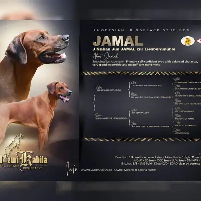 nzuri kabila cover