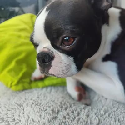 Ruby