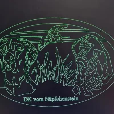 Galerie-Bild von DK vom Näpfchenstein  in Niedersachsen, mit Eindrücken unserer Deutsch Kurzhaar-Zucht.