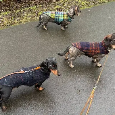 Mühlenbergteckel cover