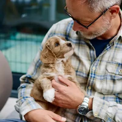 Bild aus Heart & Soul Doodles Australian Labradoodles in Nordrhein-Westfalen, wo unsere Australian Labradoodle-Hunde in einer liebevollen Umgebung aufwachsen.