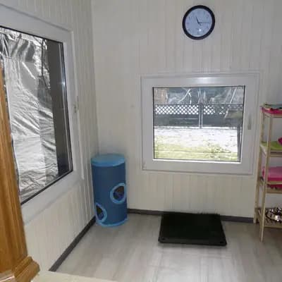 Bild aus Hundezucht vom Bagno in Nordrhein-Westfalen, wo unsere Prager Rattler-Hunde in einer liebevollen Umgebung aufwachsen.