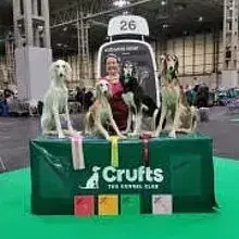 Malik Alsayadin cover