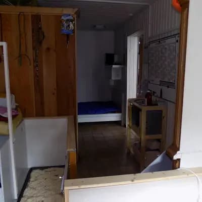 Bild aus Hundezucht vom Bagno in Nordrhein-Westfalen, wo unsere Prager Rattler-Hunde in einer liebevollen Umgebung aufwachsen.