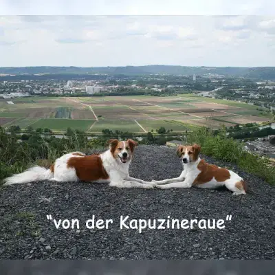 von der Kapuzineraue cover