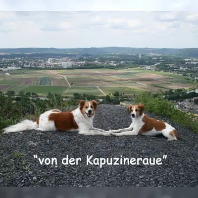 von der Kapuzineraue cover