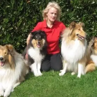 of Sutherland’s Twin cover