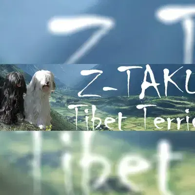 Z-TAKU cover
